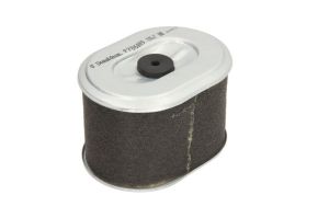Filtr powietrza P786889