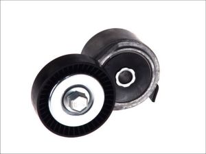 Napinacz paska wieloklinowego DAYAPV2490