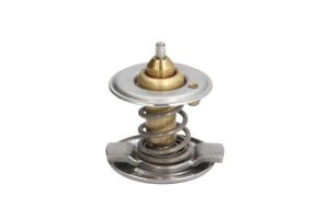 Termostat środka chłodzącego D2M001TT