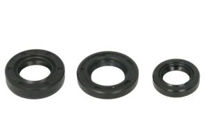 Zestaw uszczelniaczy wału korbowego P400210400309
