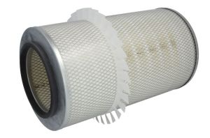 Filtr powietrza P772587