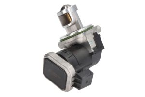 Zawór EGR 7.24809.46.0