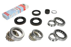 Zestaw naprawczy mechanizmu różnicowego 462 0147 10