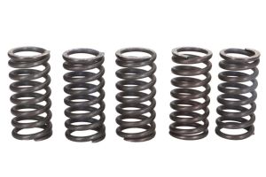 Zestaw sprężyn sprzęgła MEF121-5