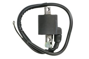 Cewka zapłonowa DZE04041