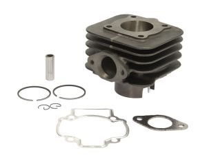 Cylinder silnika RMS 10 008 0010