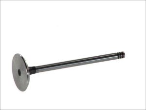 Zawór ssący 6185/S