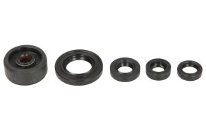 Komplet uszczelniaczy silnika P400485400164