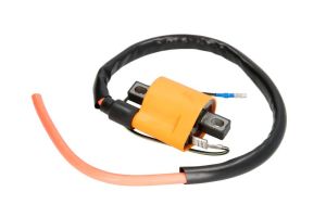 Cewka zapłonowa IP000043