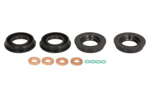 Zestaw montażowy wtryskiwacza ENT250511