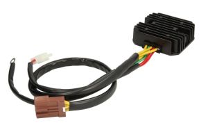 Regulator napięcia alternatora AKM6004