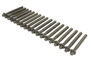 Zestaw śrub głowicy cylindrów AJU81040300