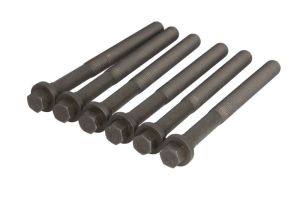 Zestaw śrub głowicy cylindrów EL308560