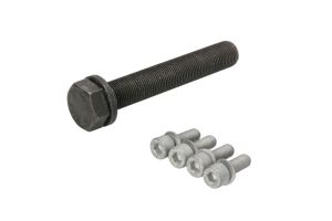 Zestaw śrub koła pasowego wału korbowego MS10