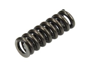 Sprężyna F 00R J00 236