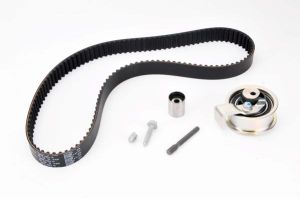 Zestaw paska rozrządu 530 0091 10