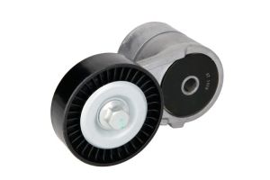 Napinacz paska wieloklinowego E3W0038BTA