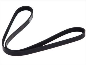 Pasek wieloklinowy 6.31508