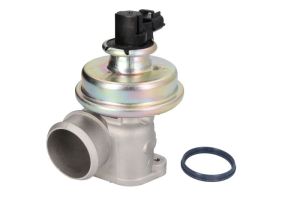 Zawór EGR 7.24809.07.0