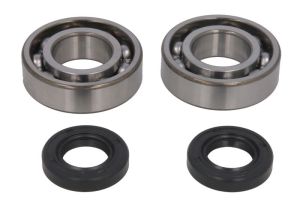 Zestaw naprawczy wału korbowego AB24-1120