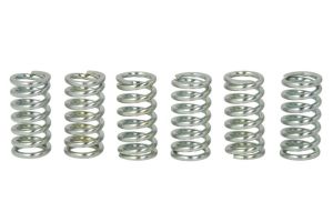 Zestaw sprężyn sprzęgła MEF109-6