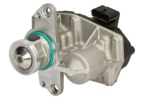 Zawór EGR AV6213