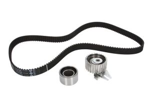 Zestaw paska rozrządu 530 0229 10