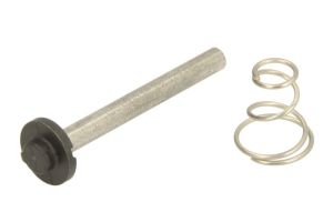 Zestaw sprężyn 421 365 928 2