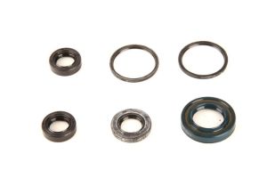 Kompletny zestaw uszczelek silnika P400420400050