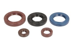 Komplet uszczelniaczy silnika P400089400001