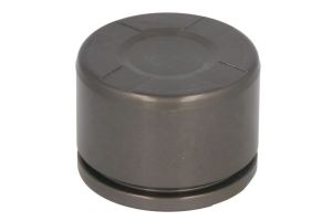 Tłoczek zacisku hamulcowego D0-25662