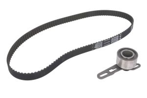 Zestaw paska rozrządu 530 0138 10