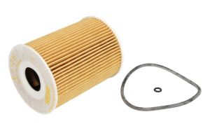 Filtr oleju E113H D181