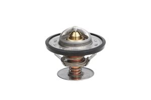 Termostat środka chłodzącego D2G001TT