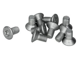 Śruba, tarcza hamulcowa BGK012