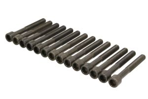 Zestaw śrub głowicy cylindrów AJU81030000