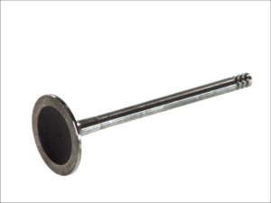 Zawór ssący 4881/S