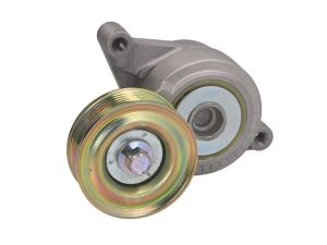 Napinacz paska wieloklinowego DAYAPV3005