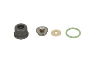 Zestaw naprawczy systemu Common-Rail F 00N 202 354