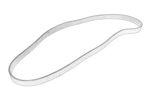 Pasek wielorowkowy 4285560M3-MF