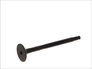 Zawór wydechowy 6174/RNT