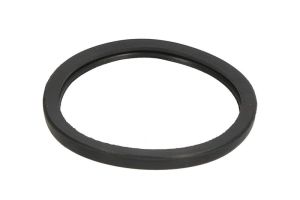 Uszczelka termostatu LE24808.00
