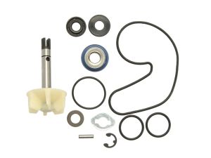 Zestaw naprawczy pompy cieczy chłodzącej RMS 10 011 0410