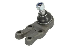 Sworzeń wahacza FE41873