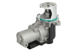 Zawór EGR AV6086