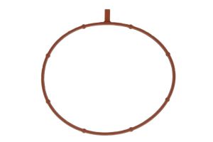 Uszczelka kolektora dolotowego R528163-FP