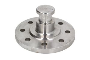 Sworzeń królewski KZ 1516-01