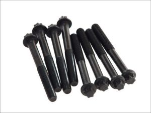 Zestaw śrub głowicy cylindrów EL820245