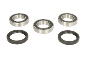 Zestaw łożyska koła PWRWK-Y09-421