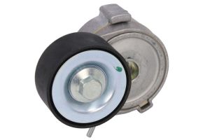 Napinacz paska wieloklinowego DAYAPV3624